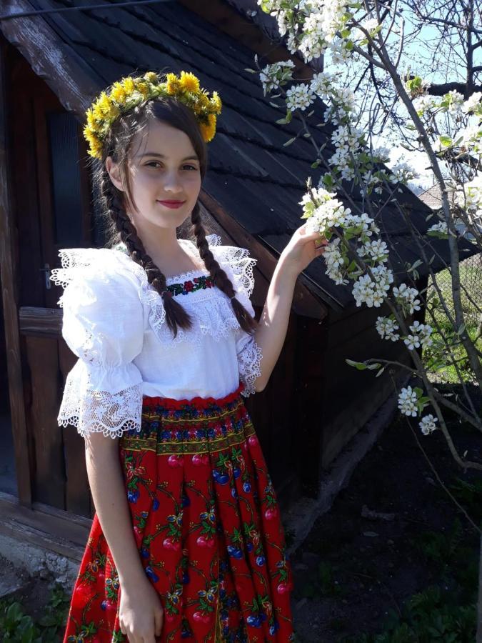 Pensiunea Maria Sighetu Marmaţiei Exteriör bild