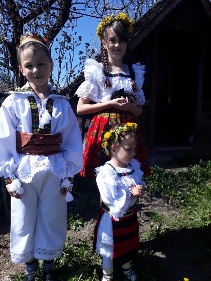 Pensiunea Maria Sighetu Marmaţiei Exteriör bild
